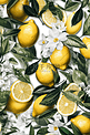 柠檬图案无缝插画
