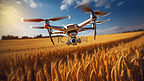麦田上空飞行的无人机特写。农业和生产技术创新