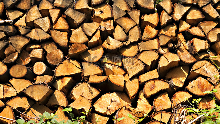 砍树高清摄影大图-千库网