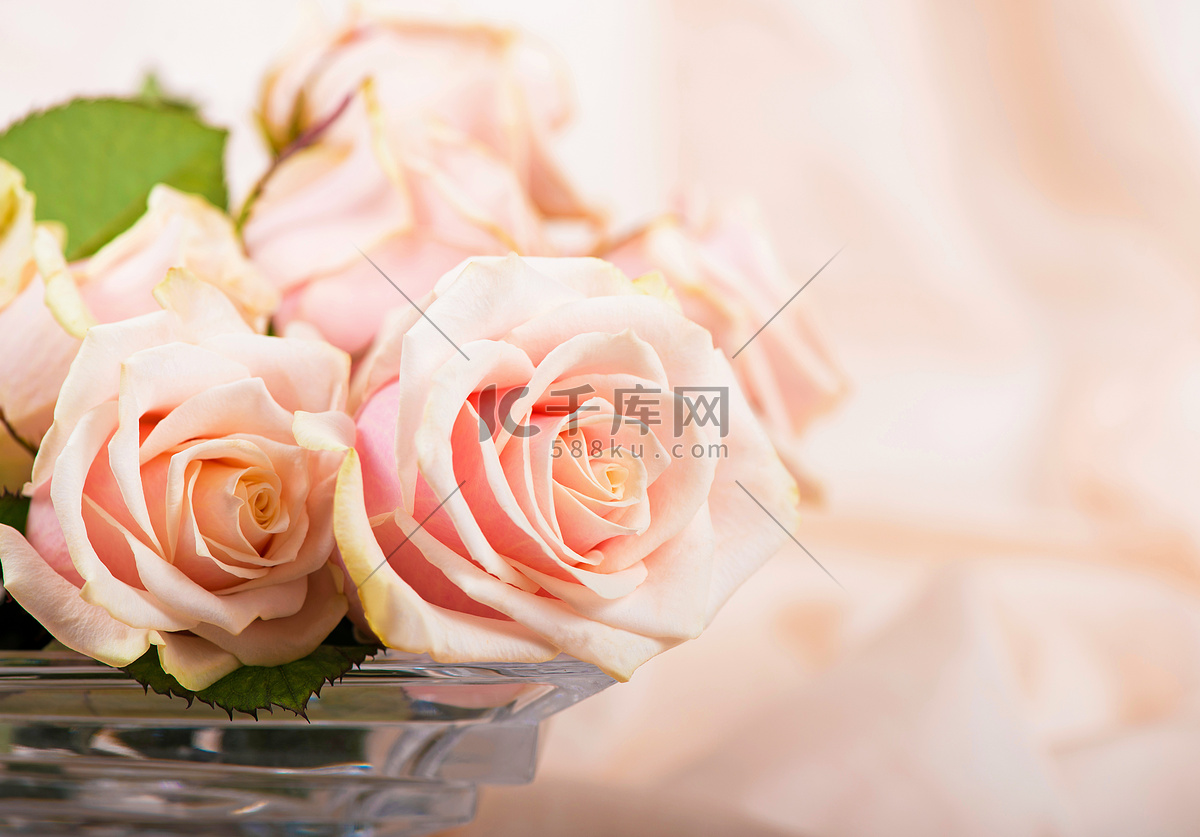 清晨的飞龙湖 带着露珠的玫瑰花——台州市区周边风光随拍-游记攻略-台州旅游-台州19楼