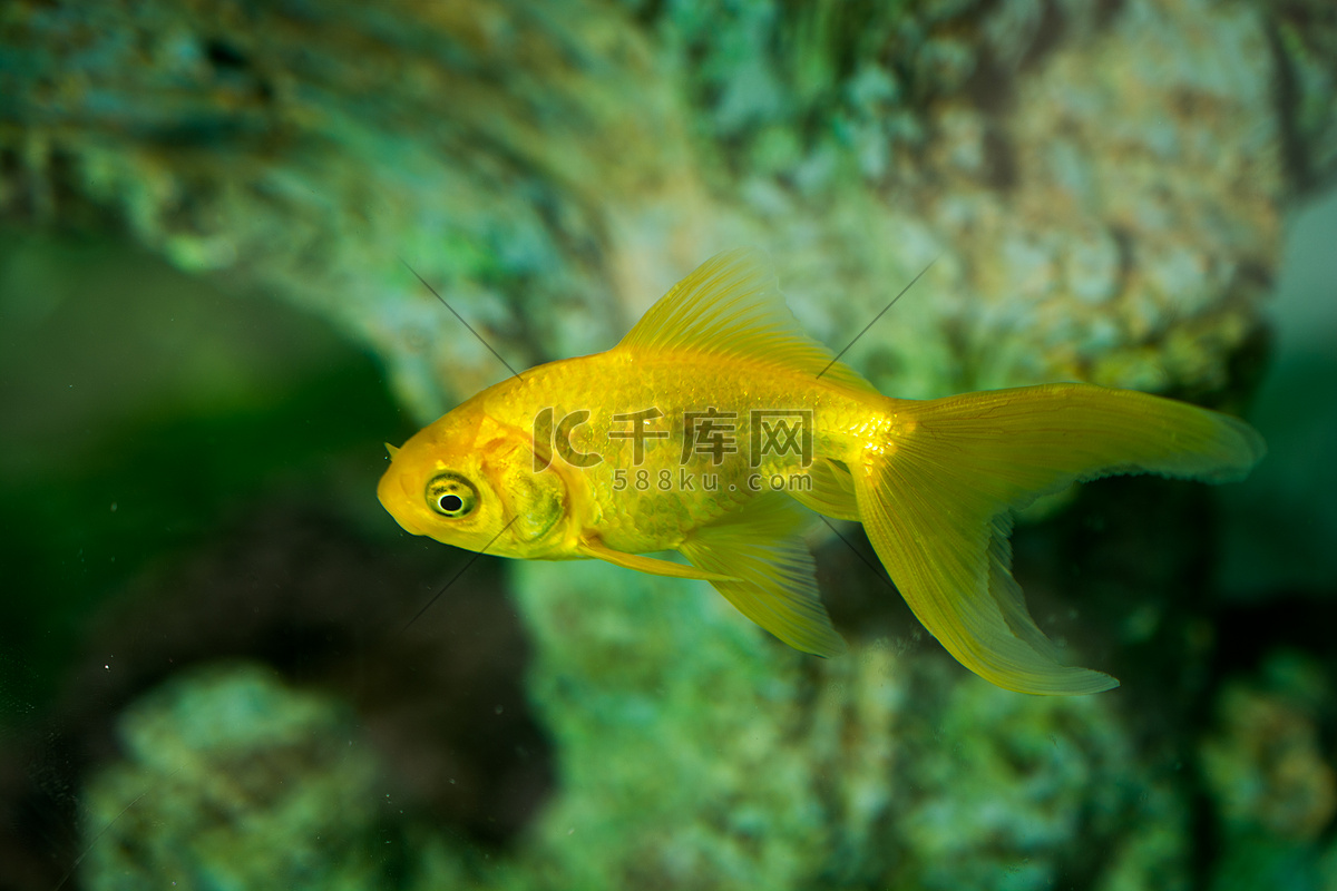 水面 温柔 爱抚 身体 泳池爱抚 唤醒沉睡的 每一寸 感官体验 带来 愉悦