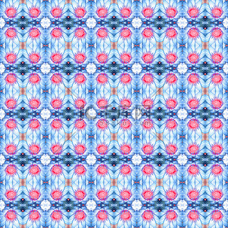 蓝色水莲花图片_蓝色水莲花素材-蓝色水莲花图片大全-千库网