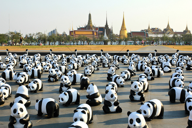 泰国曼谷-2016 年 3 月 4 日：1600 只 Pandas+ TH，纸浆高清摄影大图-千库网