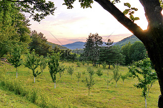 草坪在远近群山的映衬下,由一个年轻的花园种植
