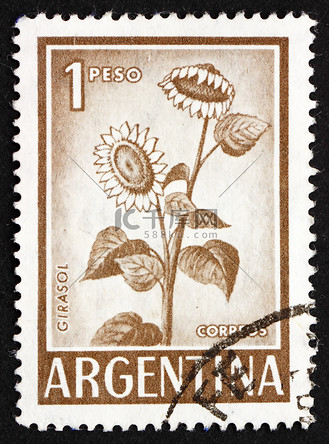 "邮票阿根廷 1970 年向日葵,植物"