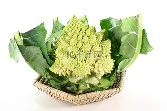 新鲜罗马花椰菜