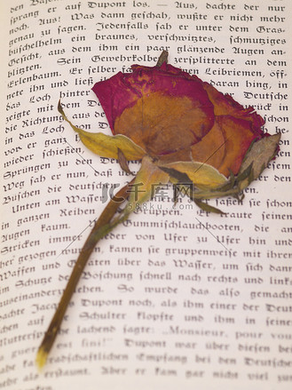 爱的记忆图片_爱的记忆素材-爱的记忆图片大全-千库网