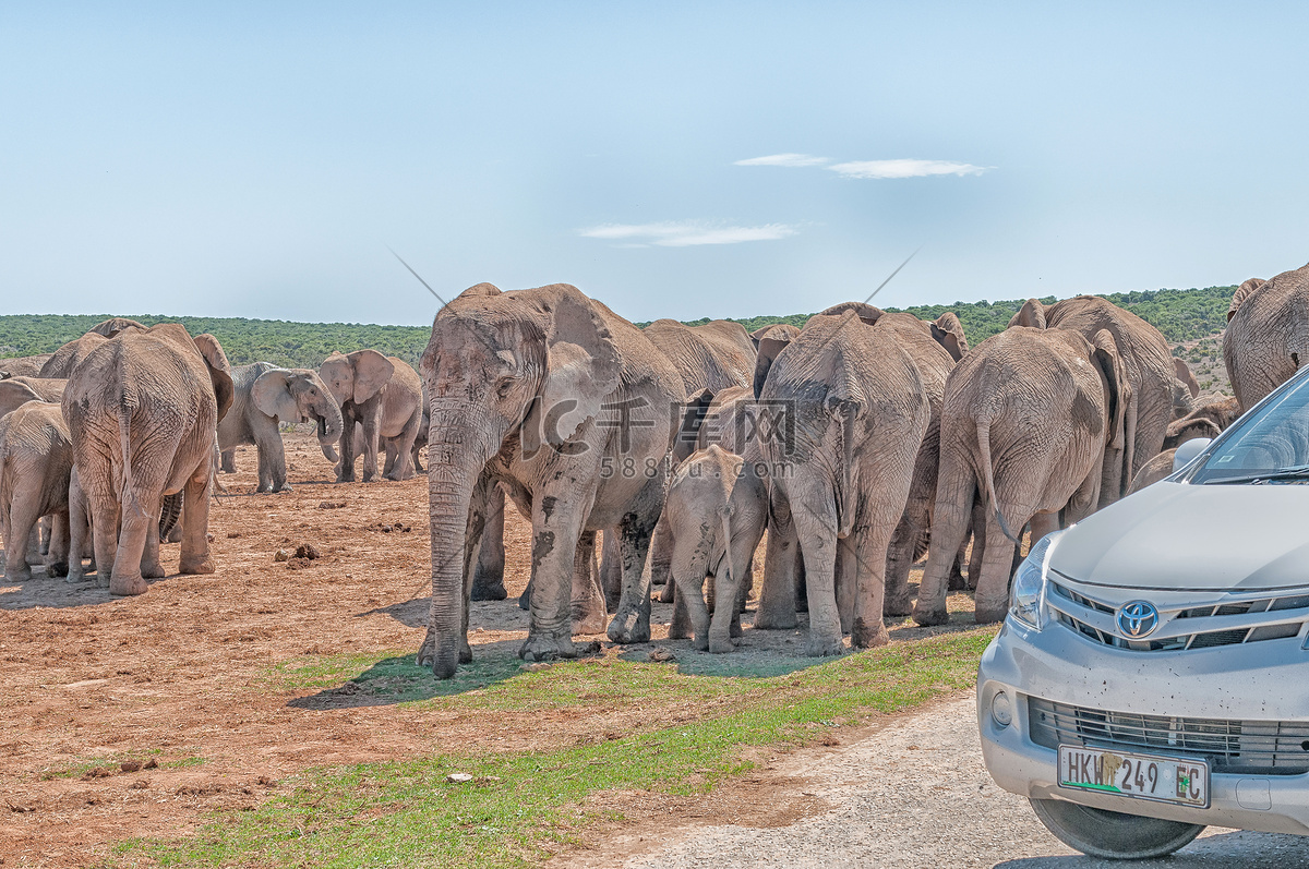 【携程攻略】湄拉玛美莎大象营景点,很不错的体验，有大象表演，大象画画，大象洗澡，可以骑大象，近距离…