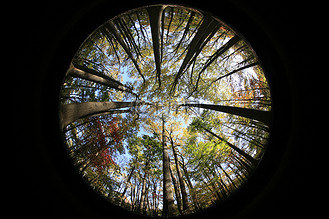 天空鱼眼图片_天空鱼眼素材-天空鱼眼图片大全-千库网