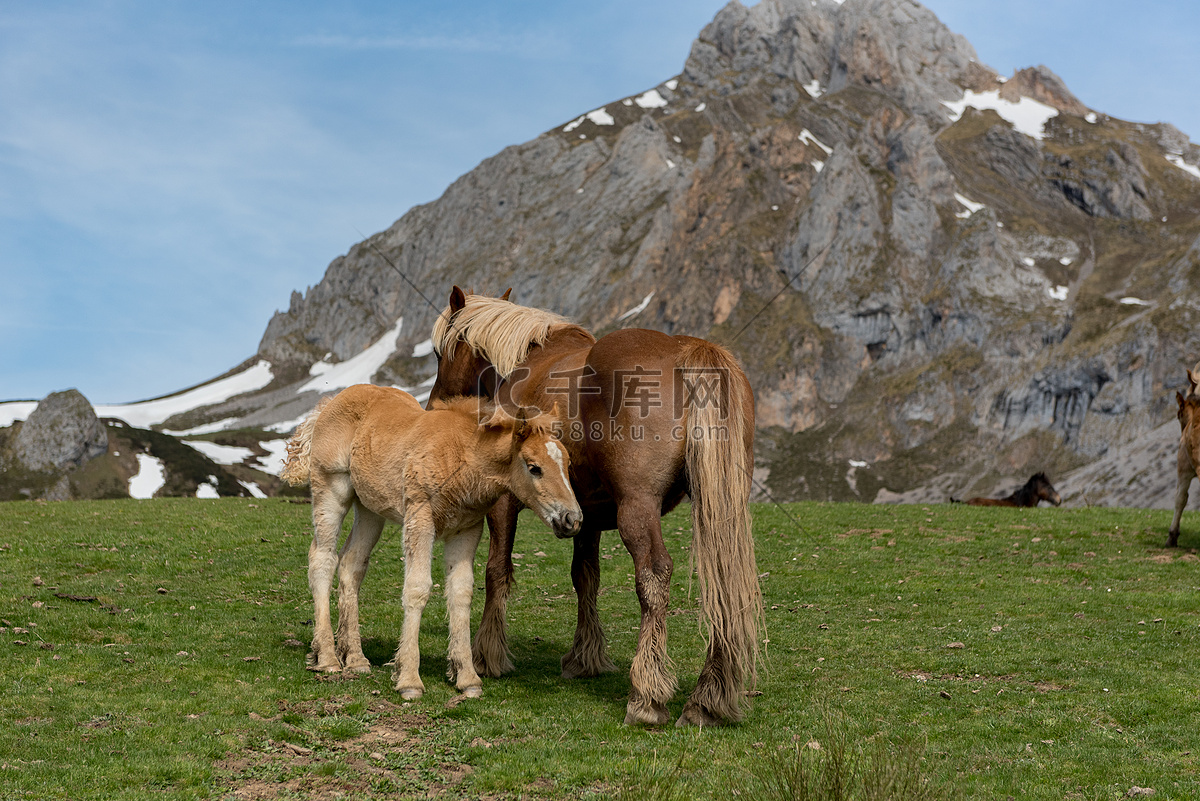 Picos De Europa picos-de-europa