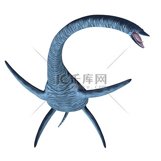 卡通蛇颈龙图片_卡通蛇颈龙素材-卡通蛇颈龙图片大全-千库网