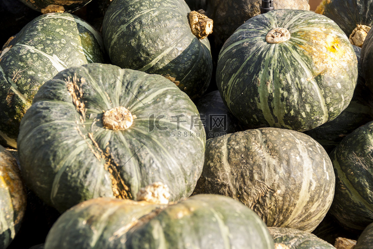 green-gr-ner-cucurbita-pumpkin