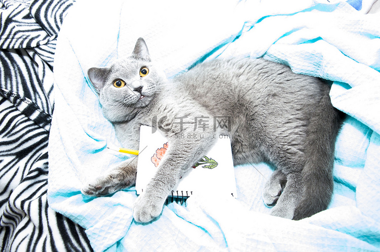 英国人高清摄影大图千库网