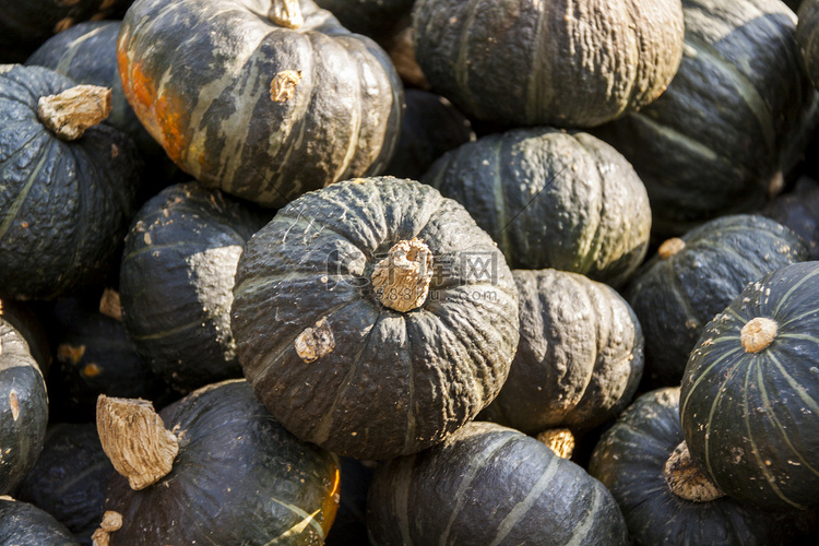green-gr-ner-cucurbita-pumpkin