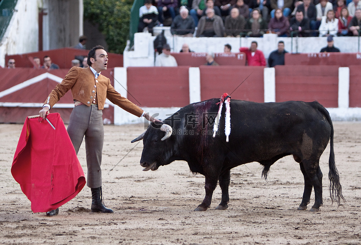 西班牙把动物虐杀推向的新高度 - 知乎