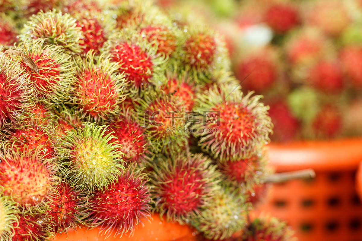 在树的红毛丹 库存照片. 图片 包括有 滋补, 成熟, 水果, 庄稼, 点心, 甜甜, 果子, 泰国, 颜色 - 30777412
