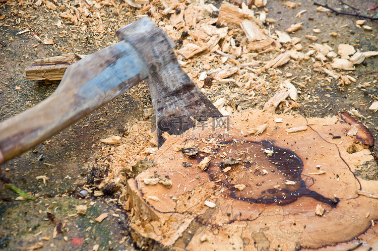 砍树高清摄影大图-千库网