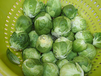 球芽甘蓝卷心菜蔬菜食品