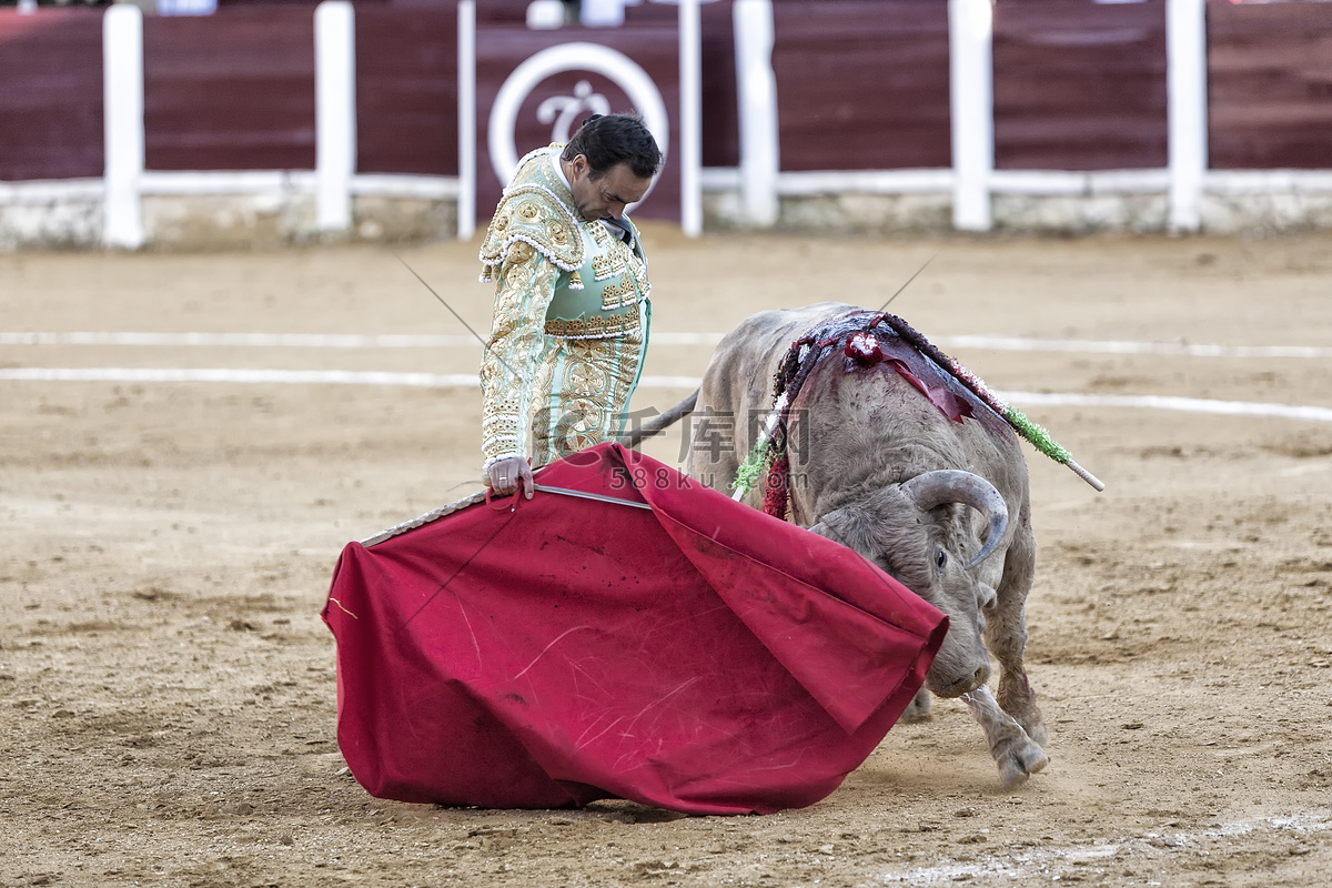 看过中国斗牛，西班牙斗牛只能算小儿科了，真正场上的勇士是他们_比赛