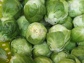 球芽甘蓝卷心菜蔬菜食品
