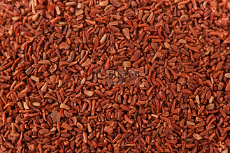 粗皮桉(红桃花心木)种子