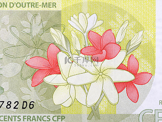 金钱花图片_金钱花素材-金钱花图片大全-千库网