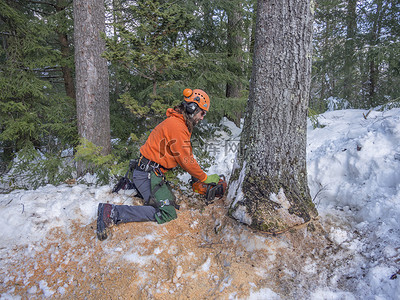 砍树高清摄影大图-千库网