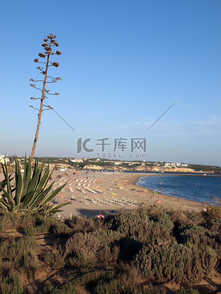 “Praia da Rocha 在夕阳的余晖中。波尔蒂芒，阿尔加维”高清摄影大图-千库网