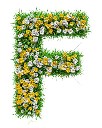 字母 f 的绿草和鲜花