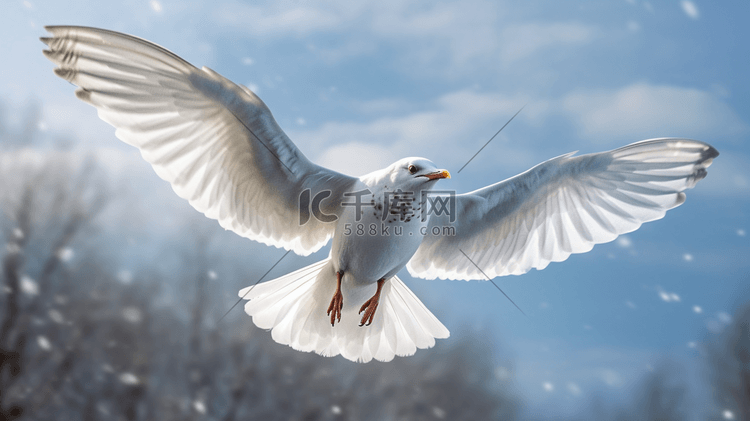 展翅飞翔的鸟高清摄影大图-千库网