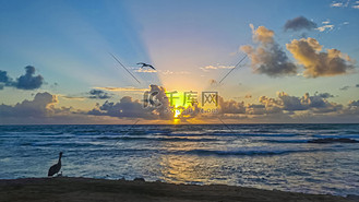 金色多彩的日出日落与阳光热带海滩图卢姆墨西哥。