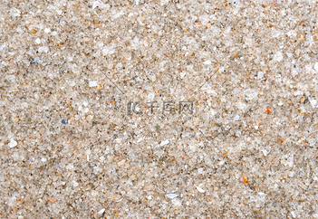 碎贝壳图片_碎贝壳素材-碎贝壳图片大全-千库网