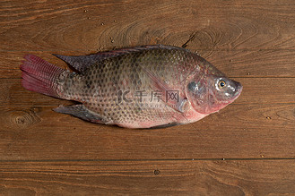新鲜尼罗罗非鱼芒果鱼 nilotica 鱼在冰和木 ba