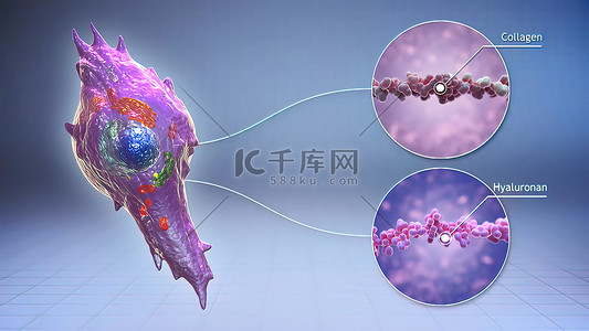 细胞外基质摄影图片-细胞外基质摄影作品-千库网