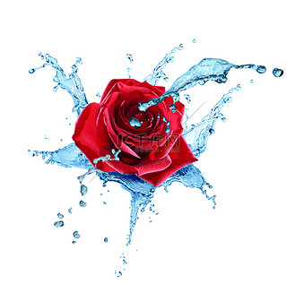 水溅花特效图片素材_水中花