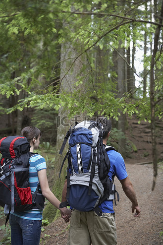 情侣牵手漫步在森林里