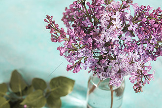 浅色背景上的玻璃瓶中盛开的紫丁香花束.