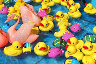 各种玩具图片素材_水中的各种玩具鸭