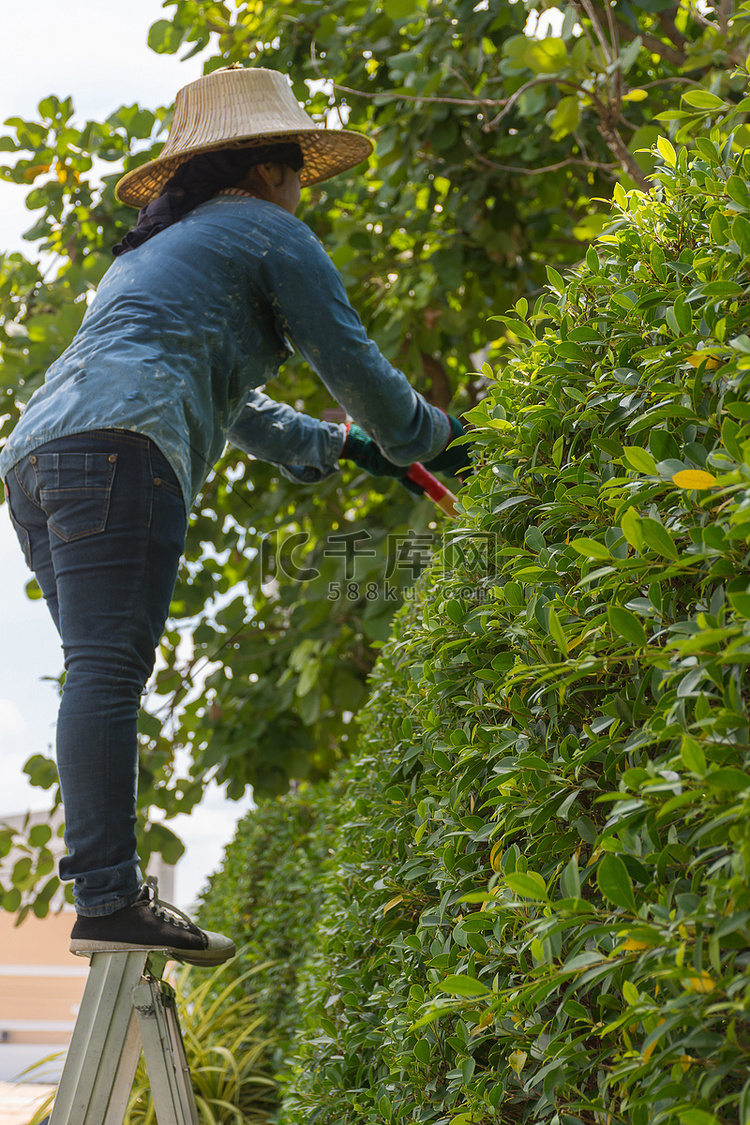 砍树高清摄影大图-千库网