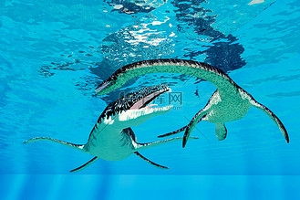 滑齿龙猎杀蛇颈龙