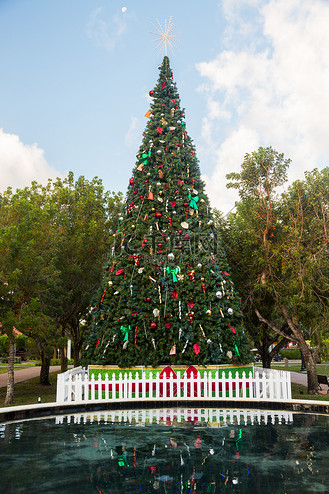 大型装饰外部圣诞树