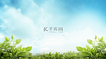 绿色环保绿植简约背景18