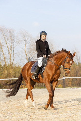 免抠背景赛马海报复古马术和骑师训练中心矢量赛马马球俱乐部和骑马