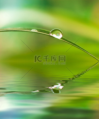 一片叶子水滴图片_一片叶子水滴素材-一片叶子水滴图片大全-千库网