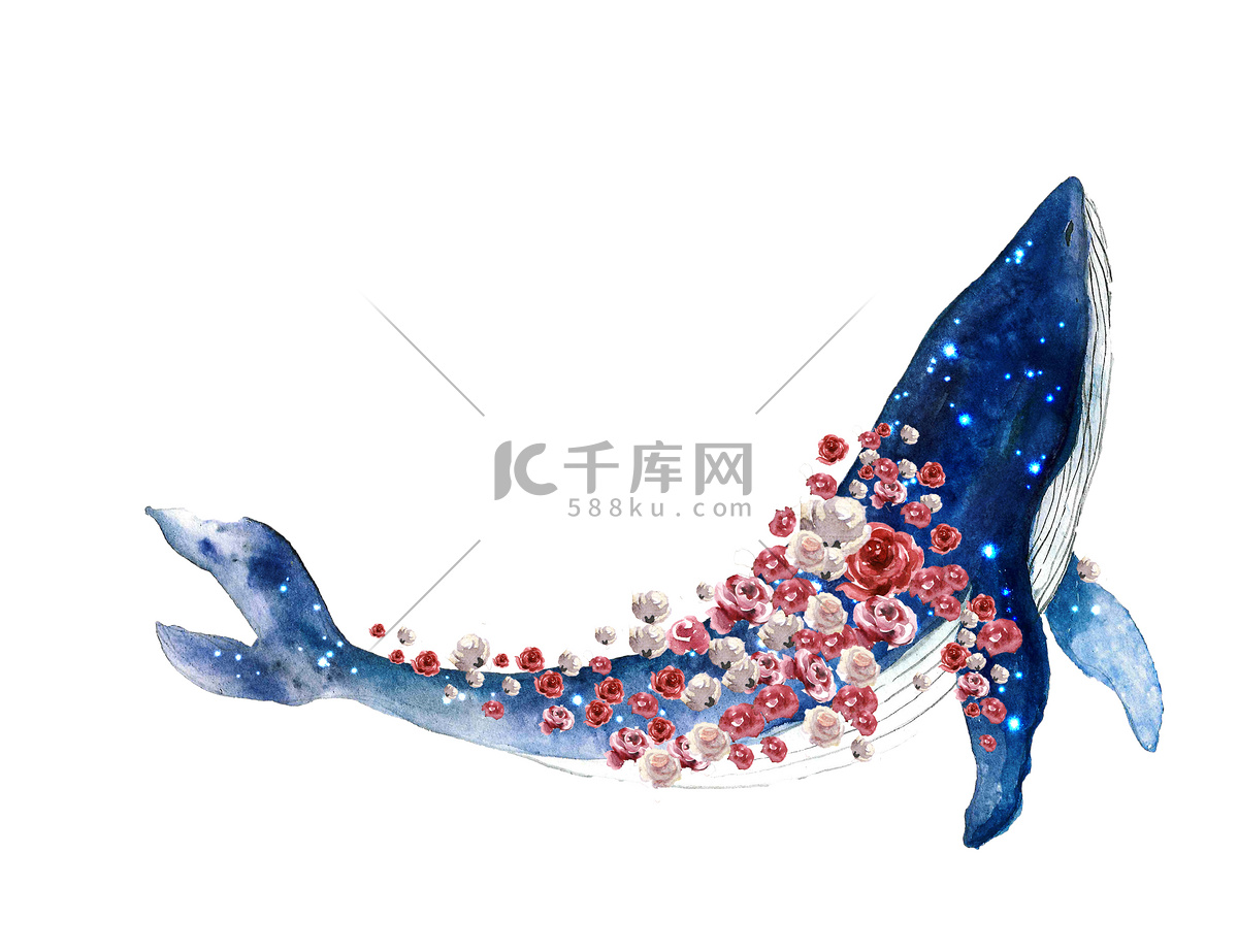 水彩画鲸鱼手绘的图画孤立在白色背景上。动物水彩画轮廓草图。手绘艺术图解。面料、 T恤、明信片、贺卡、贴纸的图形。现实的水下动物艺术.高清摄影大图-千库网