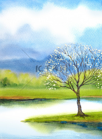 水彩风景.湖边棵开花的树