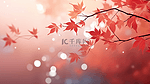 霜降节气红色枫叶背景