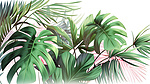 热带树叶 3d 渲染插图是文本演示模型和产品设计的理想背景，有足够的空间用于徽标或复制