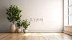 白色墙壁木地板的空房间的最佳 3D 渲染的简约性，并配有室内绿色植物