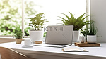 办公桌，配有笔记本电脑盆栽植物，并贴有顶视图 3D 渲染图